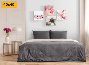 Set di quadri – Delicatezza dei fiori