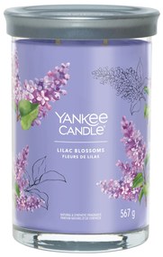 Candela Lilac Blossoms in barattolo grande Yankee Candle