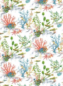 Osborne & Little Tapete Coralline - Coral