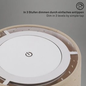 Brilo - Lampada da tavolo ricaricabile dimmerabile LOLE LED/3W/5V IP44 argento