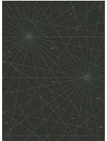 Paint & Paper Library Carta da parati panoramica Chart - Stable Green