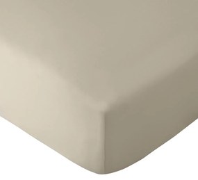 Lenzuolo elasticizzato beige 135x190 cm So Soft Easy Iron - Catherine Lansfield