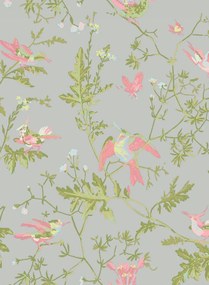 Cole & Son Tapete Hummingbirds - Rose/ Olive on Grey