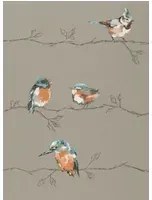 Vogeltapete Persico von Harlequin - Tangerine/ Duckegg