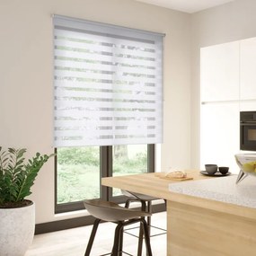 Tenda a rullo giorno / notte INSPIRE Line bianco 135x250 cm