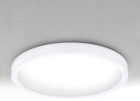 Brilagi -Luce LED dimmerabile ESTELA LED/36W/230V 3000-6500K ø 30 cm white+RC