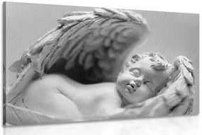 Quadro su tela – Piccolo angioletto in bianco e nero