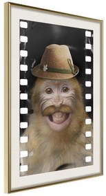 Poster  Dressed Up Monkey  Cornice Quadri Cornice d'oro con passe-partout, Larghezza x Altezza Home decor 20x30