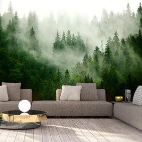 Fotomurale adesivo  Mountain Forest (Green)  Larghezza x Altezza Home decor 196x140