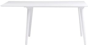 Tavolo da pranzo bianco Lotte Leaf, 120 x 80 cm Lotta - Rowico