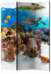 Paravento Barriera corallina (3 parti) - pesci e piante marine colorate