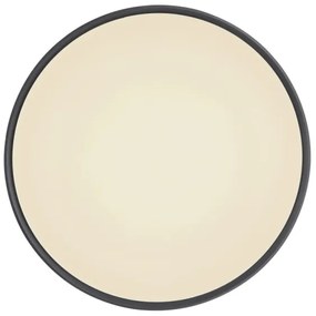 Globo 41587-24 - Plafoniera LED dimmerabile SONNY LED/24W/230V + +TC