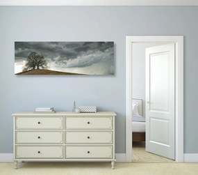 Quadro su tela – Alberi solitari