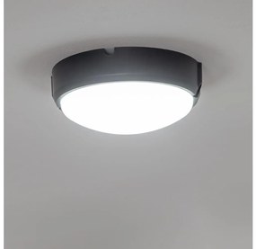 Brilagi - Plafoniera LED industriale SIMA LED/12W/230V IP65 nero