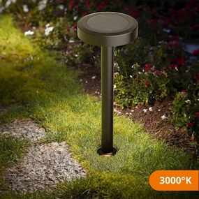 Lampada Solare da Giardino a Picchetto IP65 35cm, CCT 120 lumen Colore Bianco Variabile CCT