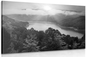 Quadro su tela – Fiume nel mezzo della foresta in bianco e nero