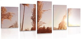 Quadri 5 pezzi – Atmosfera autunnale