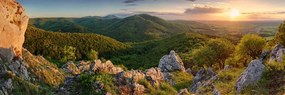 Stampa su tela – Natura baciata dal sole