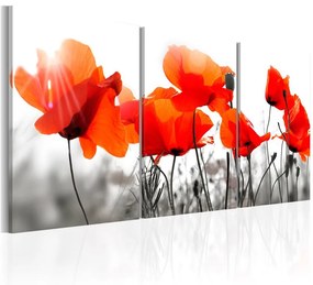 Quadro Charming Poppies  Colore Grigio, Dimensioni e Misure 60x30