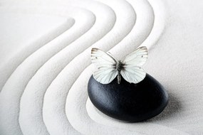 Carta da parati – Pietra Zen con farfalla