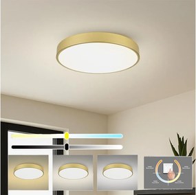 Brilagi - Plafoniera LED POOL LED/60W/230V 3000/4500/6000K diam. 60 cm dorata