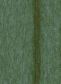 Élitis Carta da parati Volos - VP 921 13
