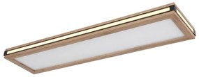 Globo 41589D4 - Plafoniera LED CARLA LED/24W/230V 20x80 cm