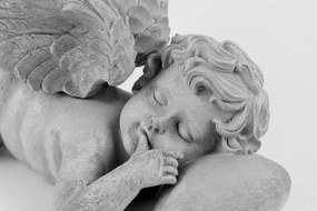 Stampa su tela – Angioletto dormiente in bianco e nero