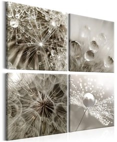 Quadro  Grey Dandelion  Colore Grigio, Dimensioni e Misure 40x40