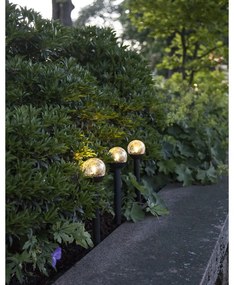 Set di 3 luci LED solari da esterno, altezza 23 cm Roma - Star Trading