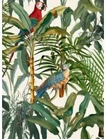 Mindthegap Carta da parati Parrots of Brasil - WP20521