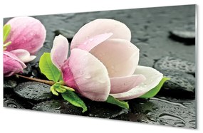 Rivestimento parete cucina Pietre di magnolia 100x50 cm