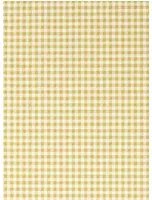Sanderson Carta da parati Gingham - Wild Honey