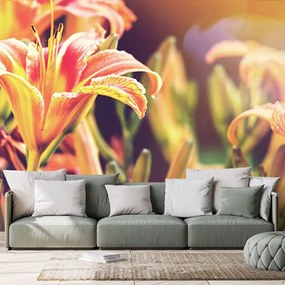 Carta da parati autoadesiva – Fiori in giardino