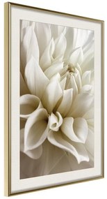 Poster  Peace of Soul  Cornice Quadri Cornice d'oro con passe-partout, Larghezza x Altezza Home decor 30x45