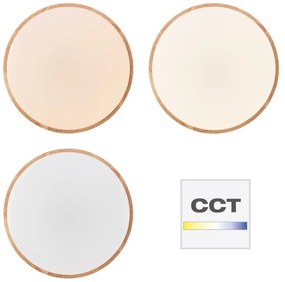 Brilliant - Plafoniera dimmerabile a LED SLIMLINE LED/60W/230V + telecomando