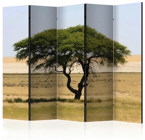 Paravento Parco nazionale Etosha II (5 parti) - paesaggio di alberi e deserto