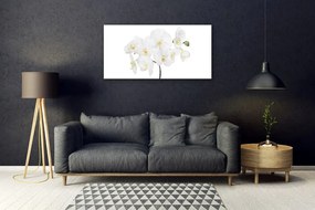 Quadro in vetro acrilico Fiori di orchidea bianchi 100x50 cm