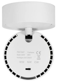 Applique LED 36W da Parete Soffitto Orientabile Bianca 60° CCT 135lm/W