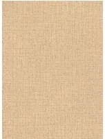 Arte International Carta da parati Nongo - Sand