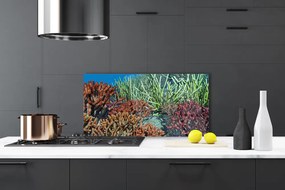 Pannello cucina paraschizzi Natura della barriera corallina 100x50 cm
