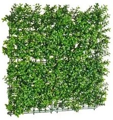 Pianta Decorativa Verde Plastica (50 x 5 x 50 cm)