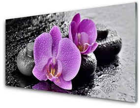 Pannello paraschizzi cucina Orchidea Fiori Orchidea Spa 100x50 cm