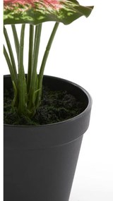 Pianta finta (altezza 40 cm) Caladium - Light &amp; Living