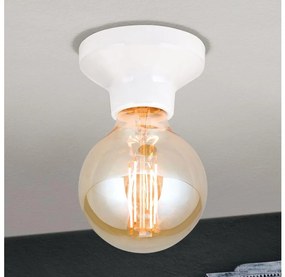 Orion - Plafoniera FROST 1xE27/60W/230V bianca