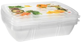 Set di 3 scatole per alimenti Classic, 1 l - Snips