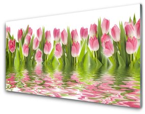 Quadro in vetro Tulipani Pianta Naturale 100x50 cm