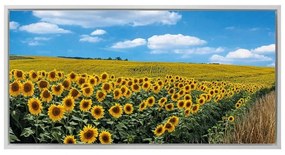 Stampa incorniciata su tela Girasoli 127 x 67 cm