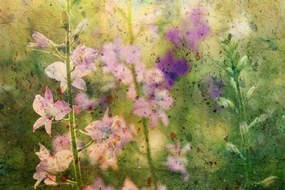 Quadro su tela – Disegno acquerellato di piante di montagna