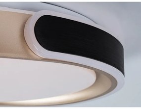 Rabalux 71292 - Plafoniera LED dimmerabile JINDRI LED/48W/230V 3000-6500K + TC